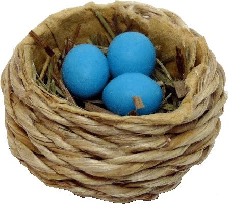 Bluebird Nest with Three Blue Eggs h112