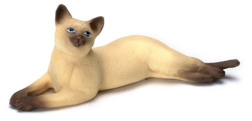 Brown Siamese Cat A0068SB