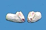 Bunny Slippers, White with Pink MUL3487