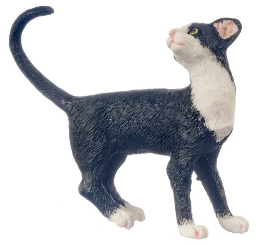 Cat with Socks A4156SK