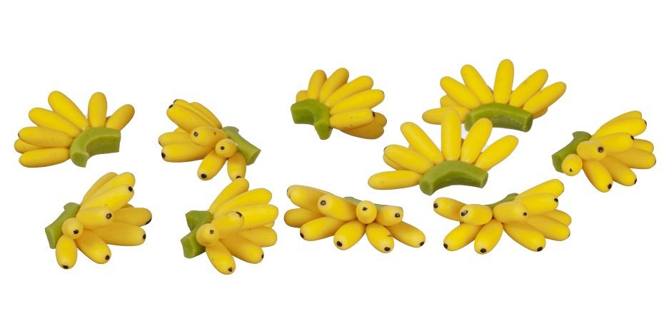 Bunch of Bananas 10000047-1