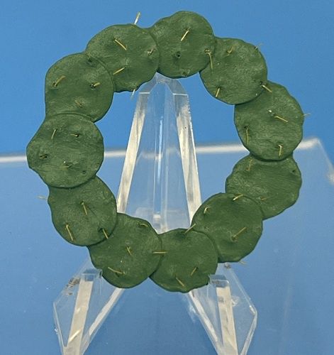 Cactus Wreath nc0399