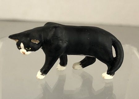 Cat, Socks A63SK