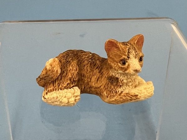 Brown and White Laying Cat by J. Kendall jkcat2