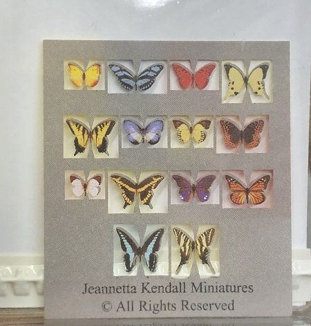 Butterfly Kit by Jeannetta Kendall JKM902