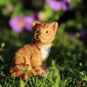 Buttercup the Kitten wfg1405
