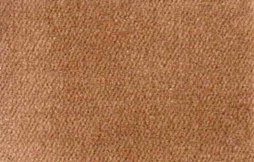 Carpet: Fawn 14 X 20 NC2013L