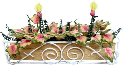 Caladium With Bud in Scroll Iron Window Box al456