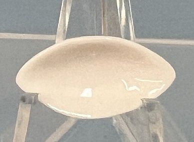 Ceramic, Small Serving Dish RL1056