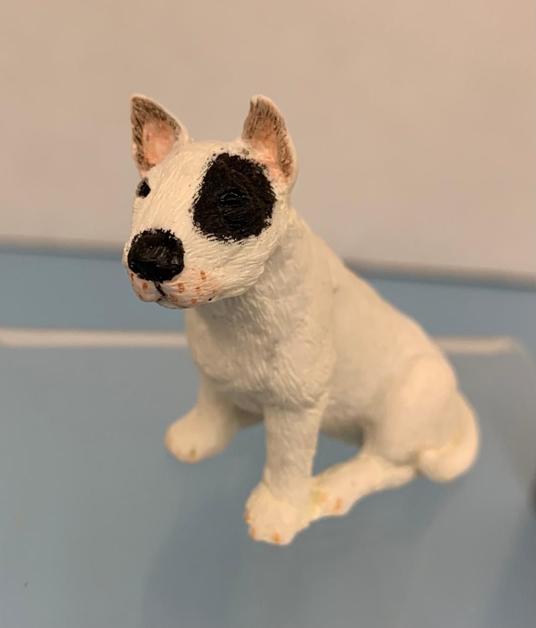 Bull Terrier a286
