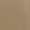 Carpet: Latte, 12 X 14 mg6181c