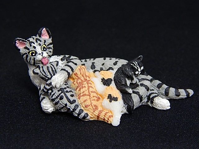 Cat and Kittens vb251408