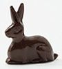 Chocolate Easter Bunny MUL1517