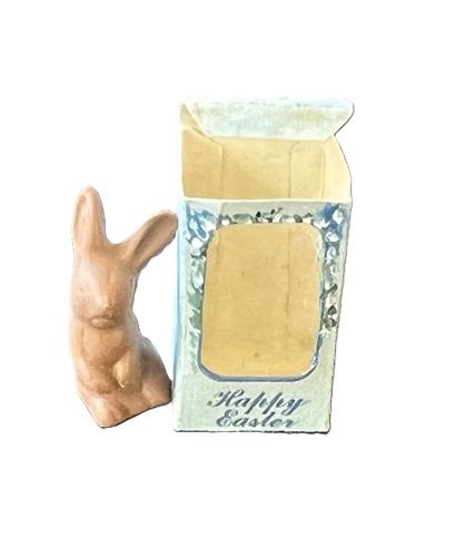Chocolate Easter Bunny in Cellophane Display Box mc031069