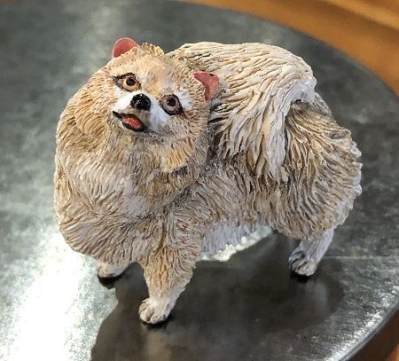 Clementine /Beige and White Spitz rd21905