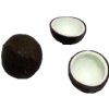 Coconut - 1 Whole and 2 Halves BDp076