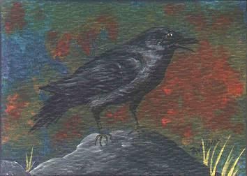 Crow/Raven on Rock minipainting003