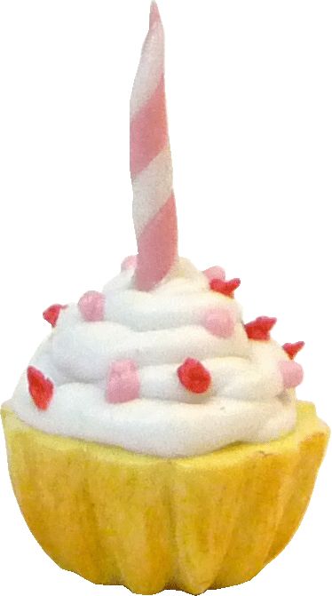 Cup Cake with Candle bdk045