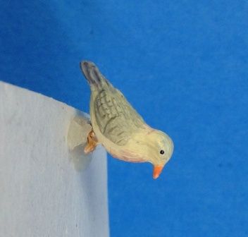 Common Ground Dove a1302