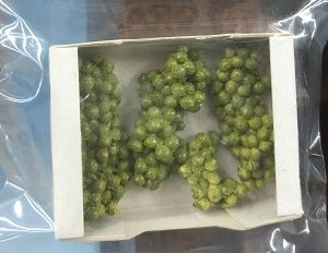 Crates of Grapes a1519