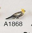 Cockatiel A1868