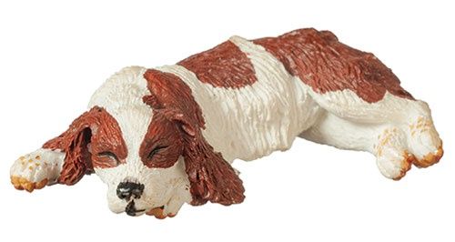 Cocker Spaniel aza6021