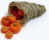 Cornucopia with Pumpkins bdf1088
