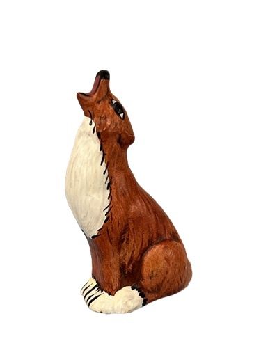Coyote cn069