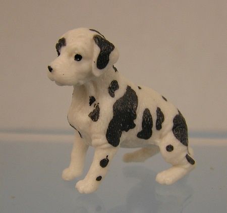 Dalmation with Heavy Spots mc05284