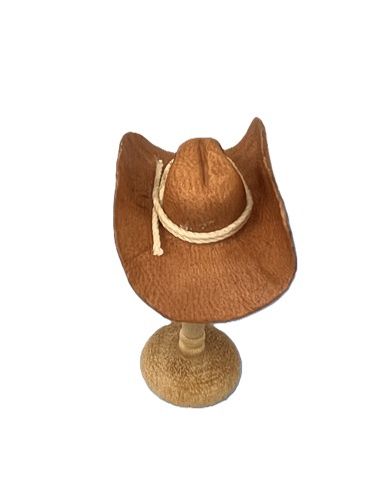 Cowboy Hat 1 nc0362