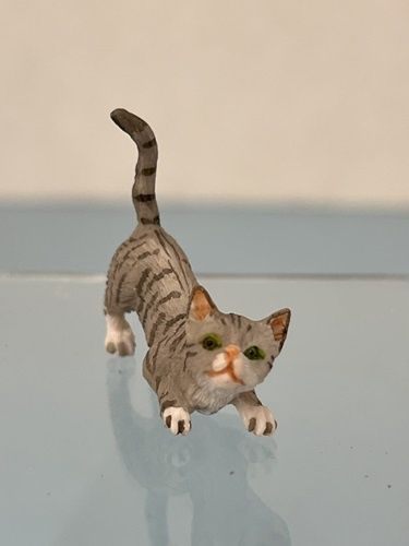 Crouching Grey Tabby cat0101