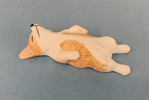 Corgi Asleep on Back mc985x
