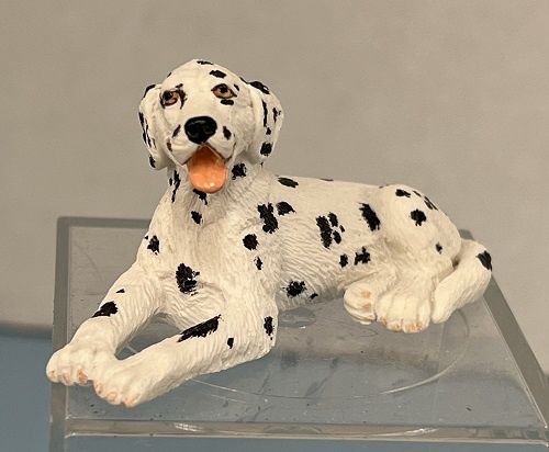 Dalmation Lying Down ALL22