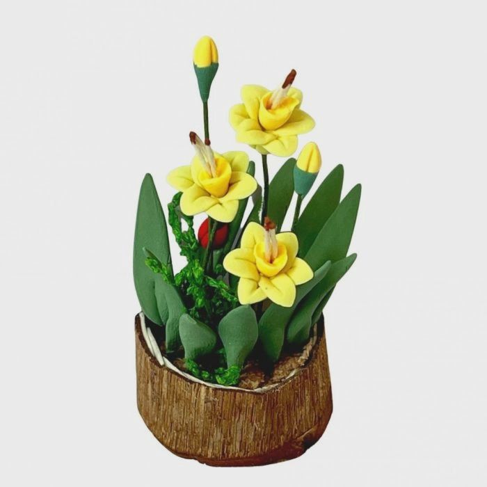 Daffodils In A Half Moon Tub d4206