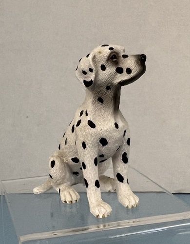 Dalmatian MN598