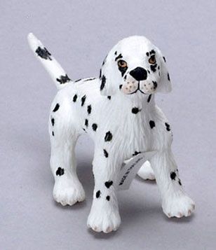 Dalmation, Big Brother fca689