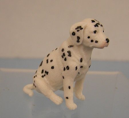Dalmation, Sitting mc05282