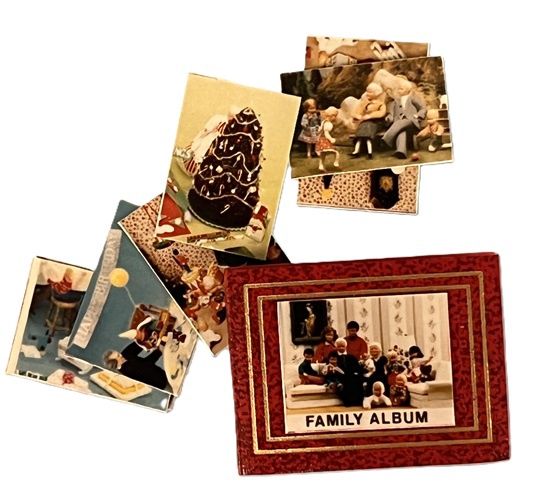 Family Picture Album and Photos dhs3019