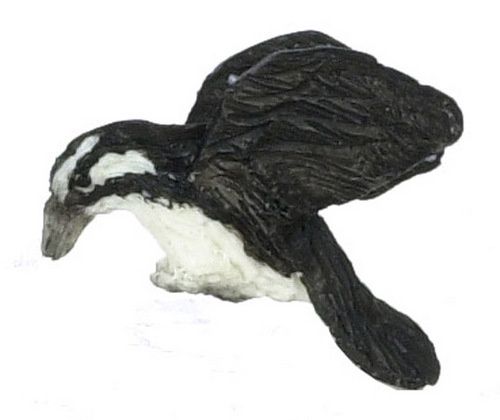Downy Woodpecker fca2249