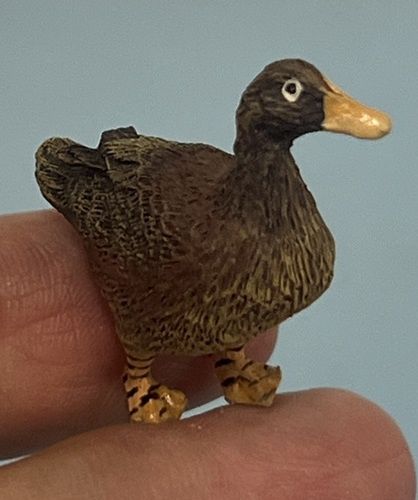 Duck cn0053