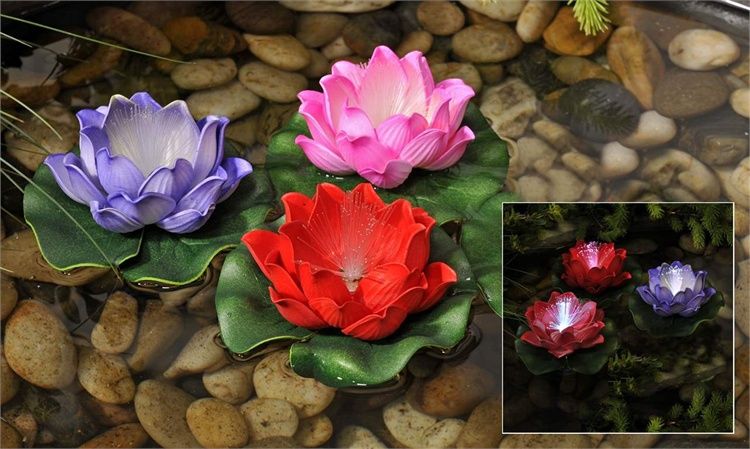 EVA LED Lotus Floaties gc705877