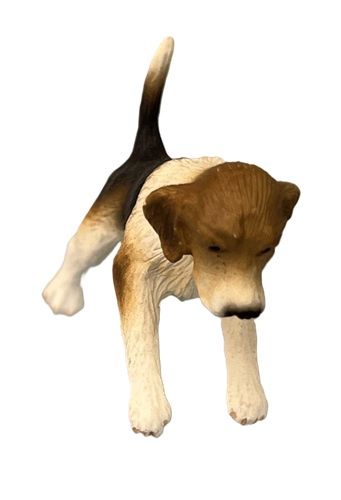 Dog Standing on Back Legs mc031769
