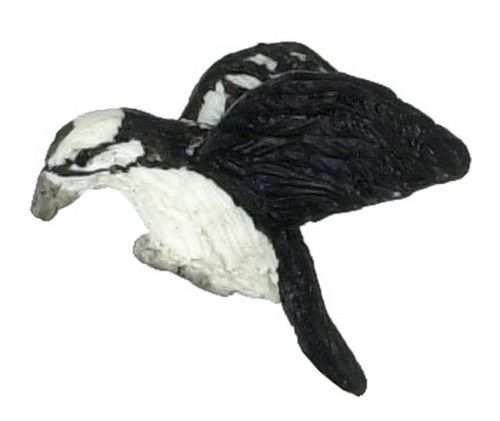 Downy Woodpecker fca2250
