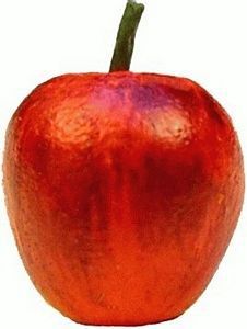 Dozen Red Apples bdp003