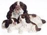 English Springer Spaniel w/Puppies, Brown FCA3406BR