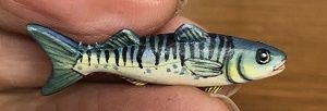 Fish lv22829