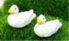 Domestic Ducks- Set of Two MF025