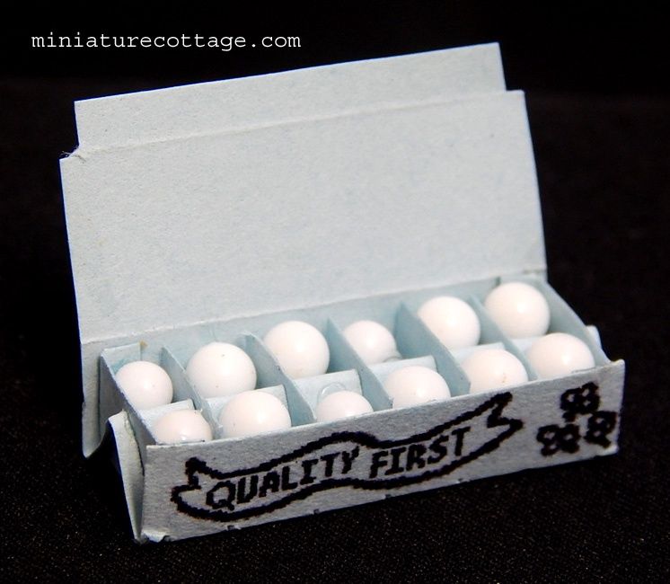 Eggs in Carton hr54192b