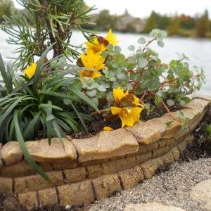 Fairy wall wffwa585