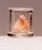 False Teeth in a Glass cbg55